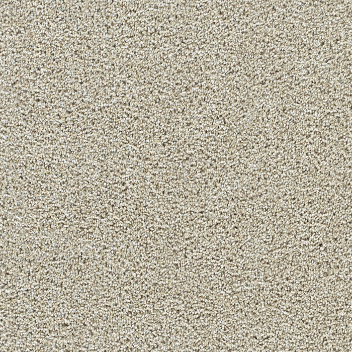 DreamWeaver - Captivating III - Carpet