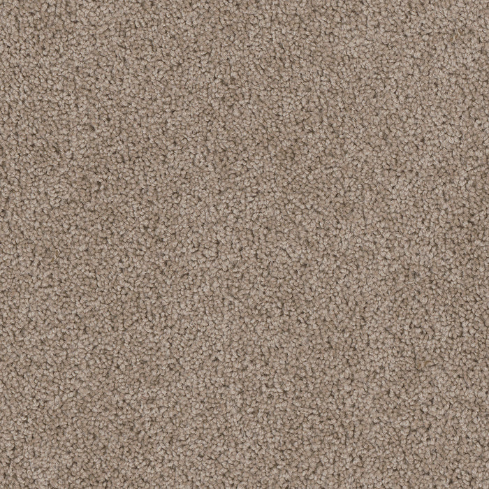 DreamWeaver - Cedar Creek - Carpet