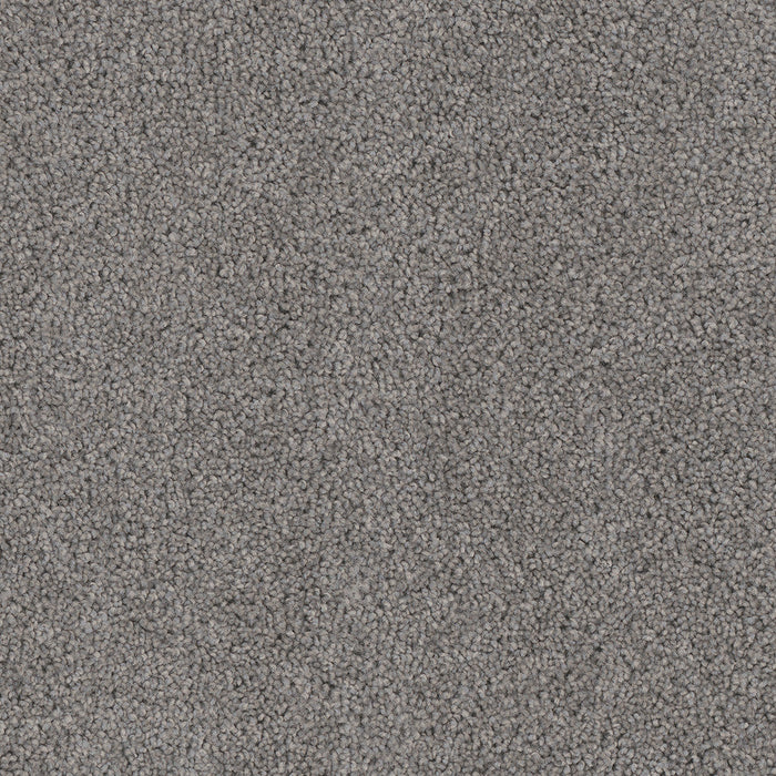 DreamWeaver - Cedar Creek - Carpet