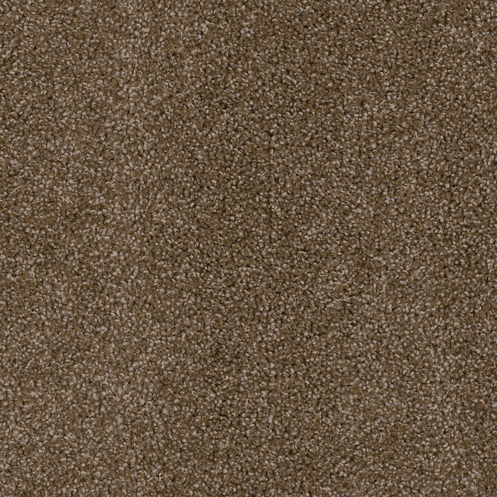 DreamWeaver - Cedar Creek - Carpet