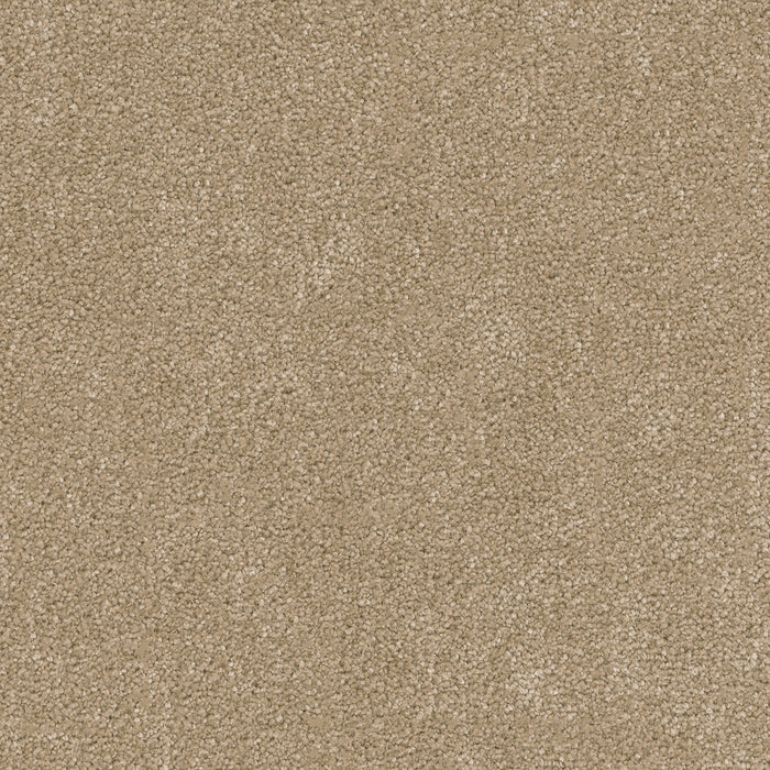 DreamWeaver - Cedar Creek - Carpet