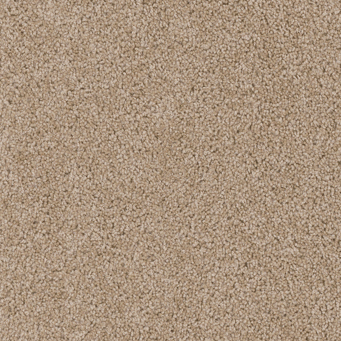 DreamWeaver - Cedar Creek - Carpet