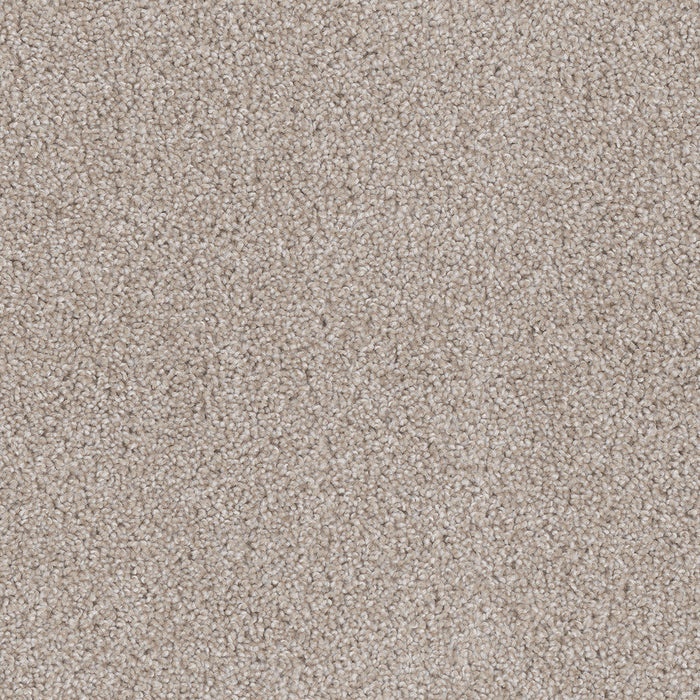 DreamWeaver - Cedar Creek - Carpet