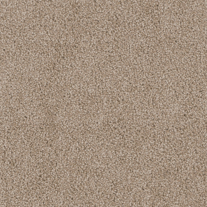 DreamWeaver - Cedar Creek - Carpet