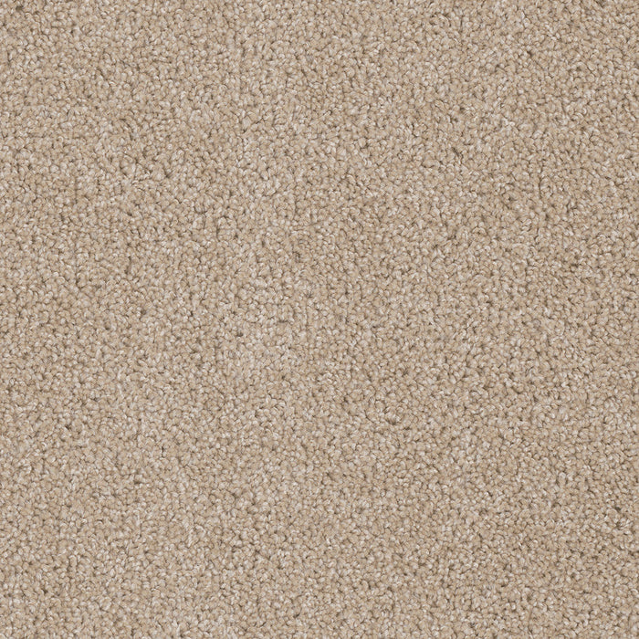 DreamWeaver - Cedar Creek - Carpet