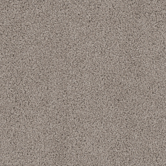 DreamWeaver - Cedar Creek - Carpet