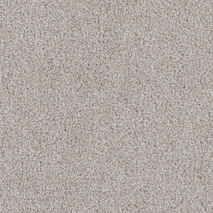 DreamWeaver - Cedar Creek - Carpet