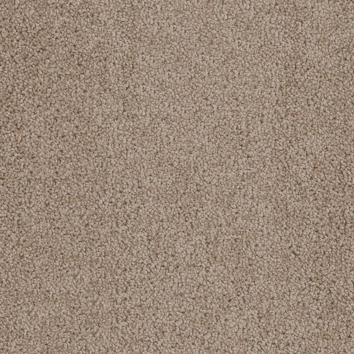 DreamWeaver - Cedar Creek - Carpet