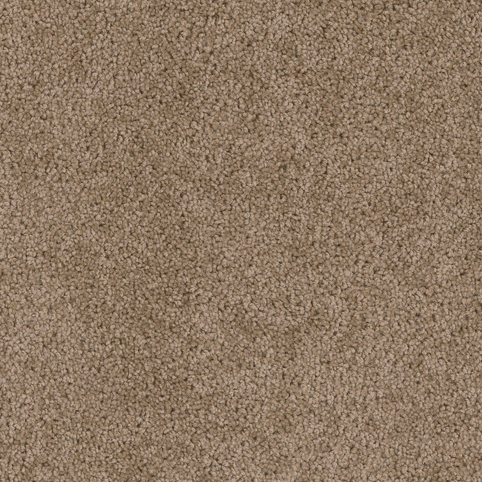 DreamWeaver - Cedar Creek - Carpet