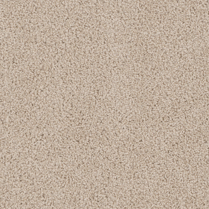 DreamWeaver - Cedar Creek - Carpet