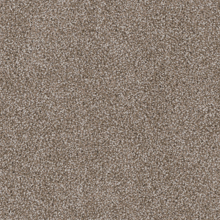 DreamWeaver - Cedar Creek - Carpet