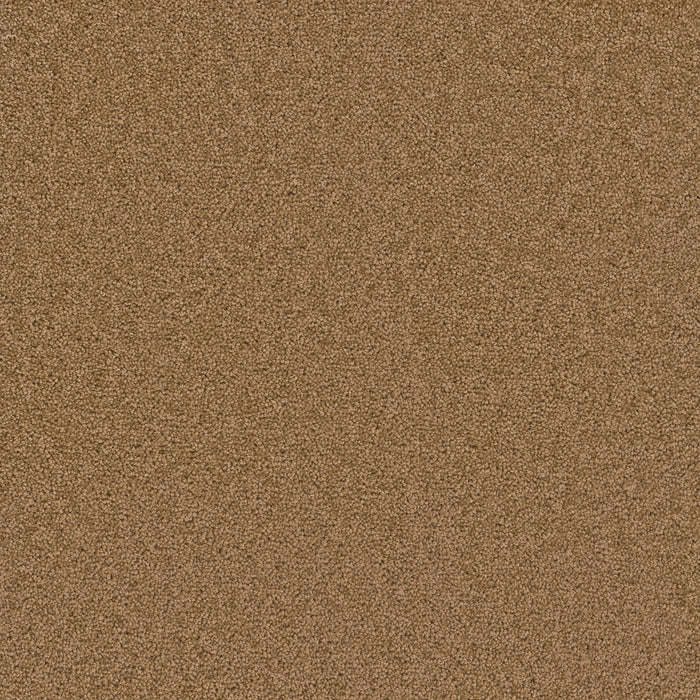 DreamWeaver - Cedar Creek - Carpet