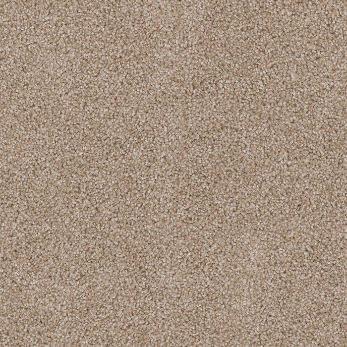 DreamWeaver - Cedar Creek - Carpet