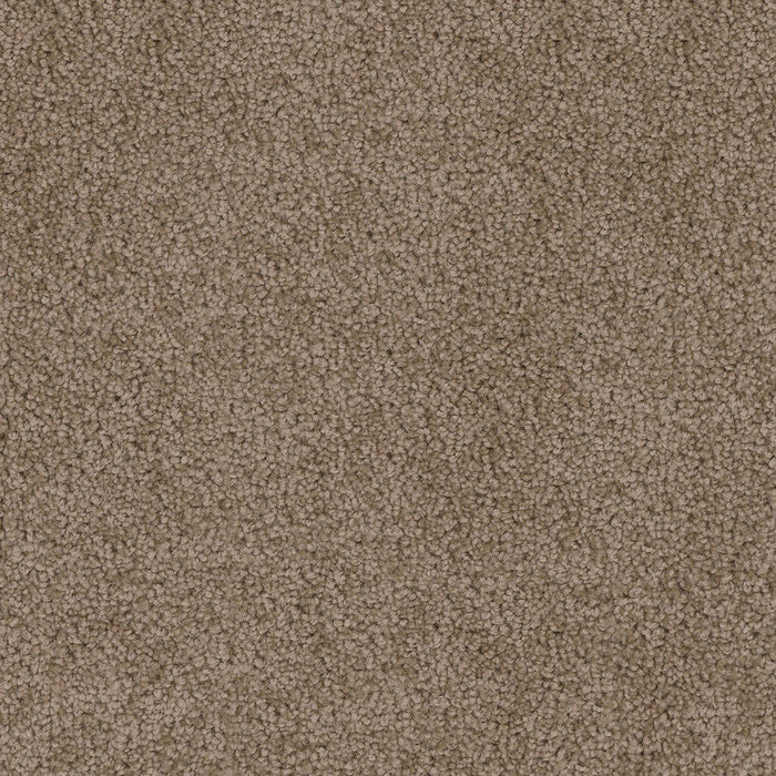 DreamWeaver - Cedar Creek - Carpet