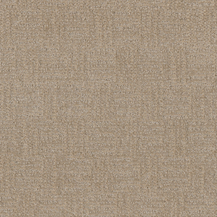 DreamWeaver - Classic Elements - Carpet
