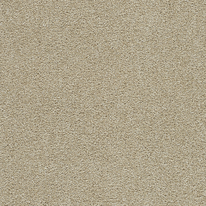 DreamWeaver - Clear Skies II - Carpet
