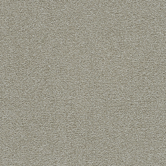 DreamWeaver - Clearwater II - Carpet