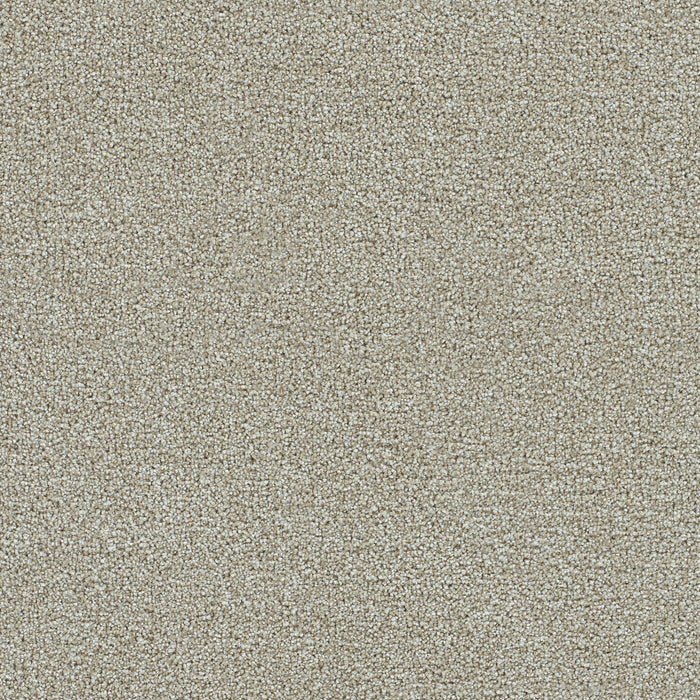 DreamWeaver - Clearwater II - Carpet
