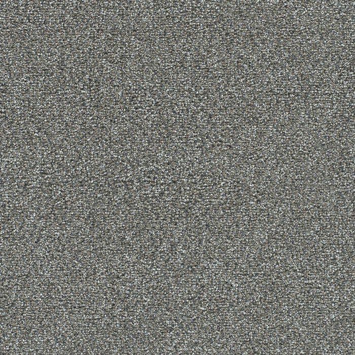 DreamWeaver - Clearwater II - Carpet