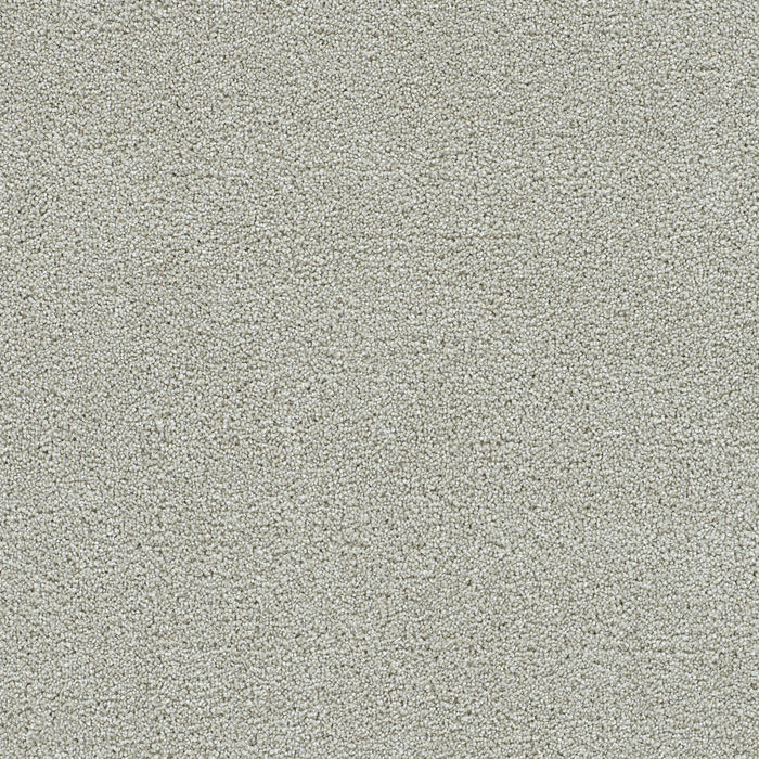 DreamWeaver - Clearwater II - Carpet