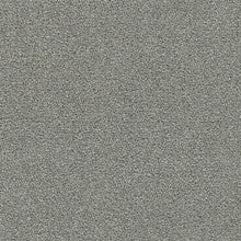 DreamWeaver - Clearwater II - Carpet