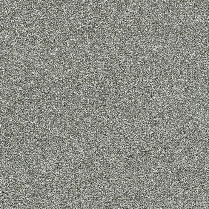 DreamWeaver - Clearwater II - Carpet