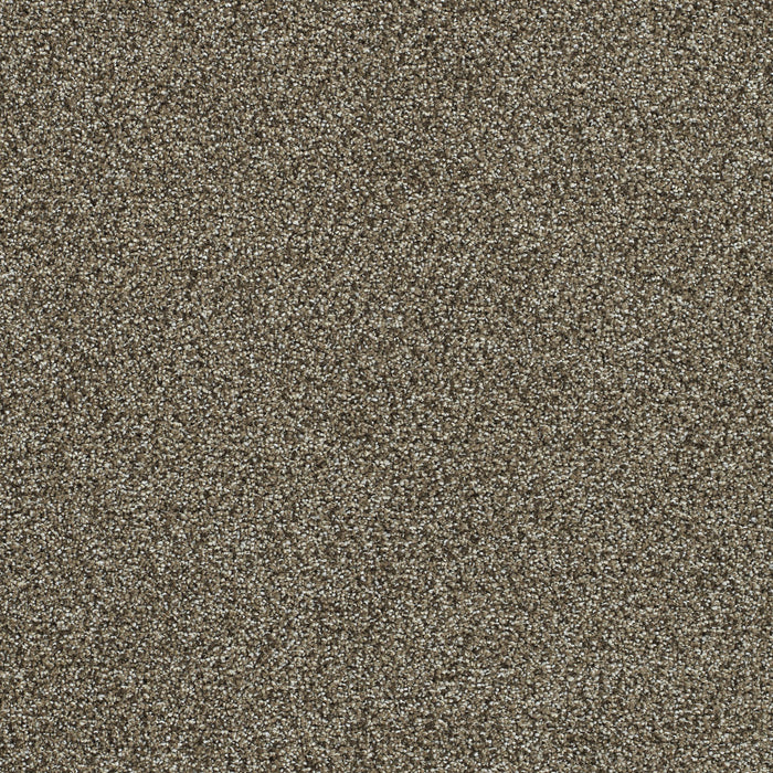 DreamWeaver - Clearwater II - Carpet
