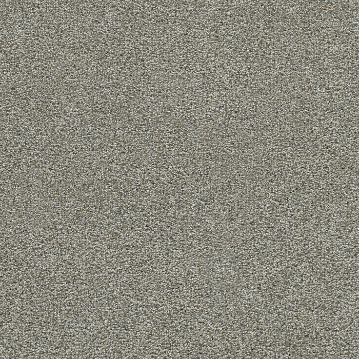 DreamWeaver - Clearwater II - Carpet