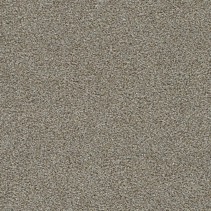 DreamWeaver - Clearwater II - Carpet