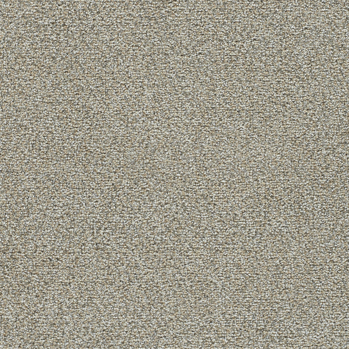 DreamWeaver - Clearwater II - Carpet