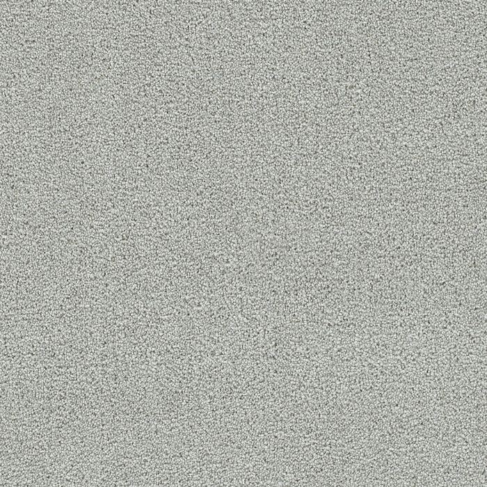 DreamWeaver - Clearwater II - Carpet