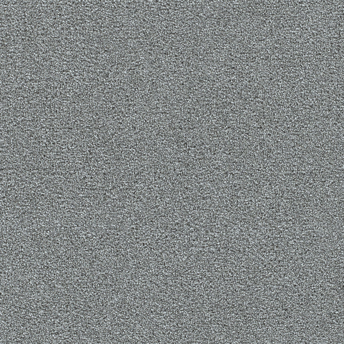 DreamWeaver - Clearwater II - Carpet