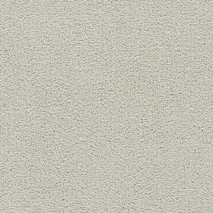 DreamWeaver - Clearwater II - Carpet