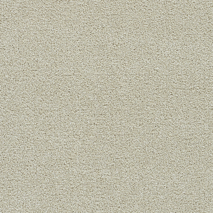 DreamWeaver - Clearwater II - Carpet