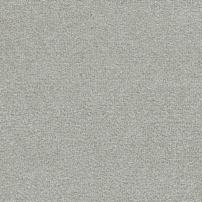 DreamWeaver - Clearwater II - Carpet