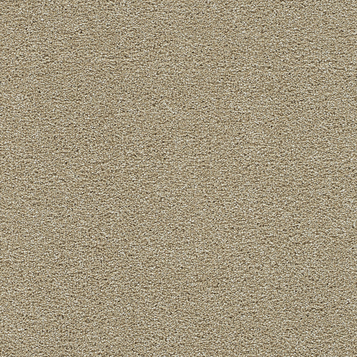 DreamWeaver - Clearwater II - Carpet