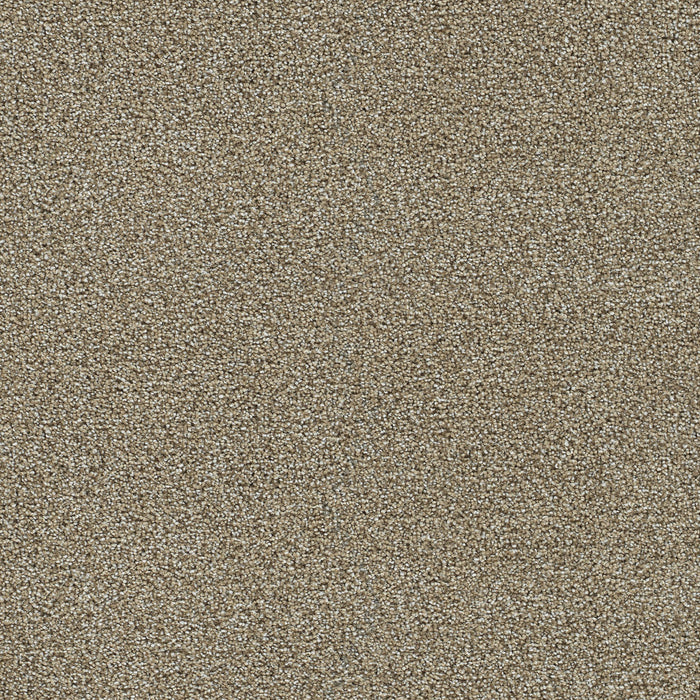 DreamWeaver - Clearwater II - Carpet