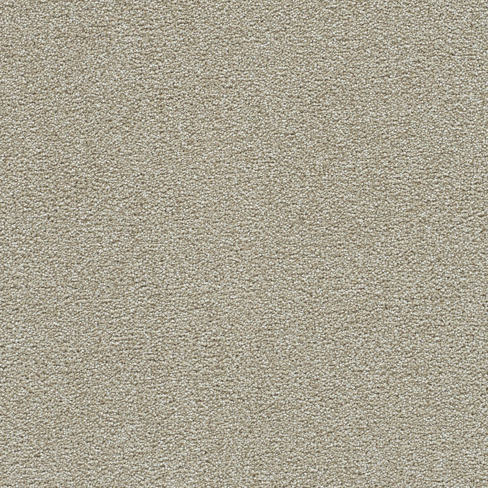 DreamWeaver - Clearwater II - Carpet