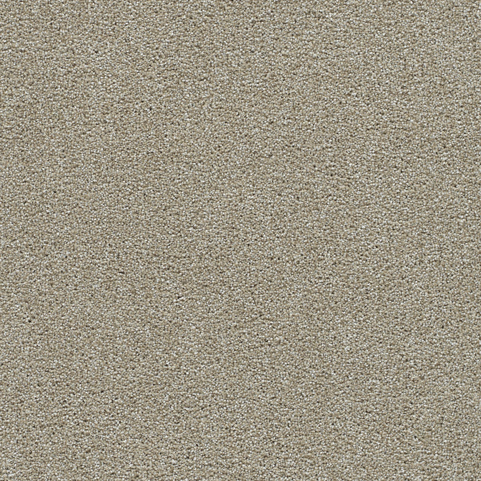 DreamWeaver - Clearwater II - Carpet
