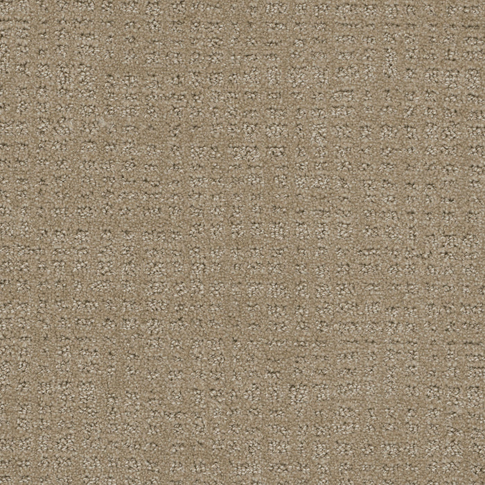 DreamWeaver - Common Ground - Carpet