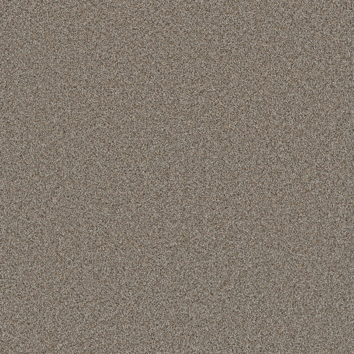 DreamWeaver - Cosmopolitan II - Carpet