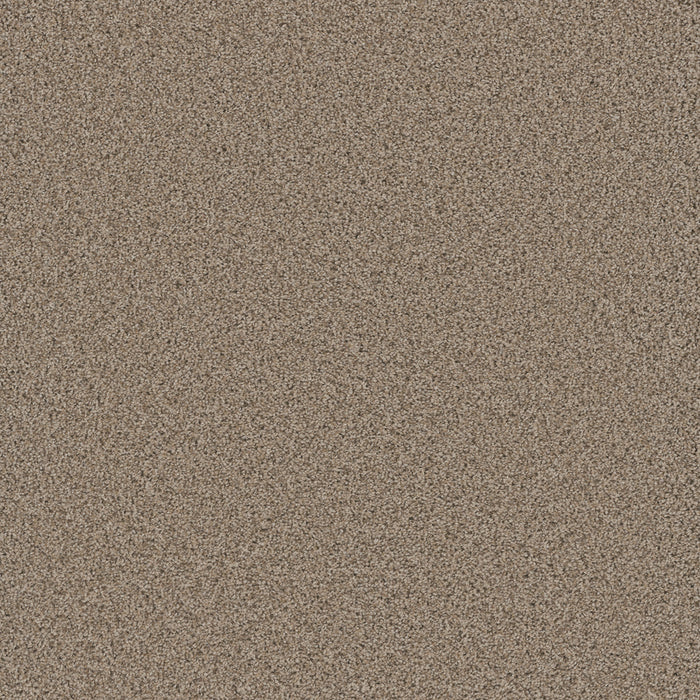 DreamWeaver - Cosmopolitan II - Carpet