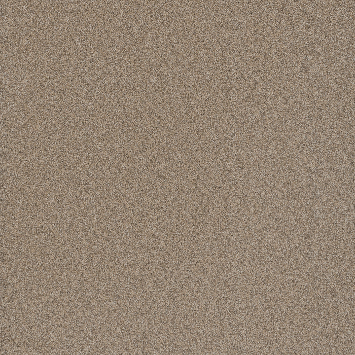 DreamWeaver - Cosmopolitan II - Carpet