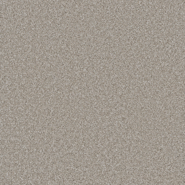 DreamWeaver - Cosmopolitan II - Carpet