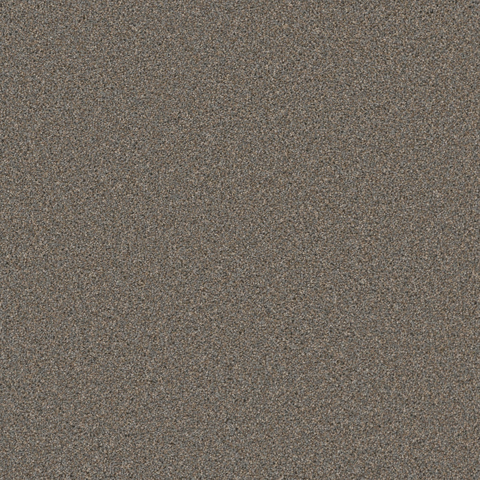DreamWeaver - Cosmopolitan II - Carpet