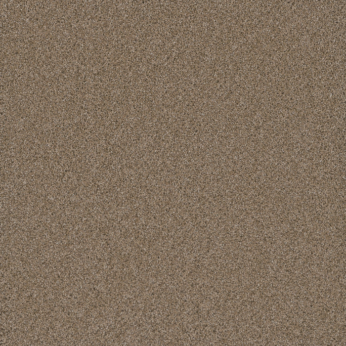 DreamWeaver - Cosmopolitan II - Carpet