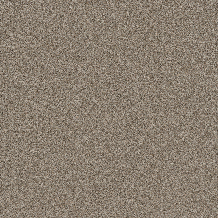 DreamWeaver - Cosmopolitan II - Carpet