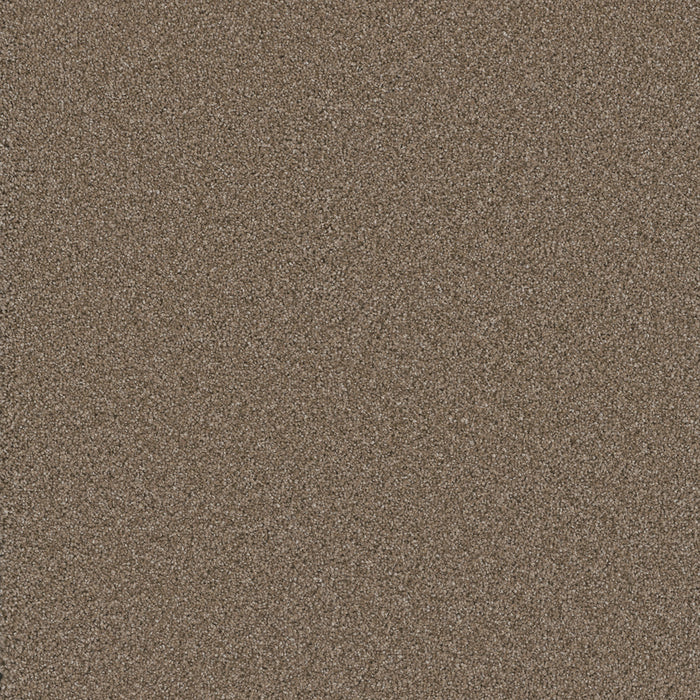 DreamWeaver - Cosmopolitan II - Carpet