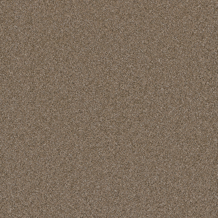 DreamWeaver - Cosmopolitan II - Carpet