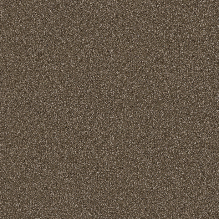 DreamWeaver - Cosmopolitan II - Carpet